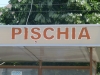 p1010433