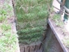 image96