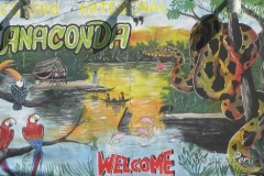 Peru-Amazon