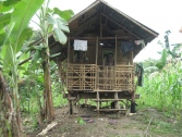 Philippines097