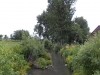 dscn1506_0873