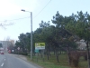 P1000254